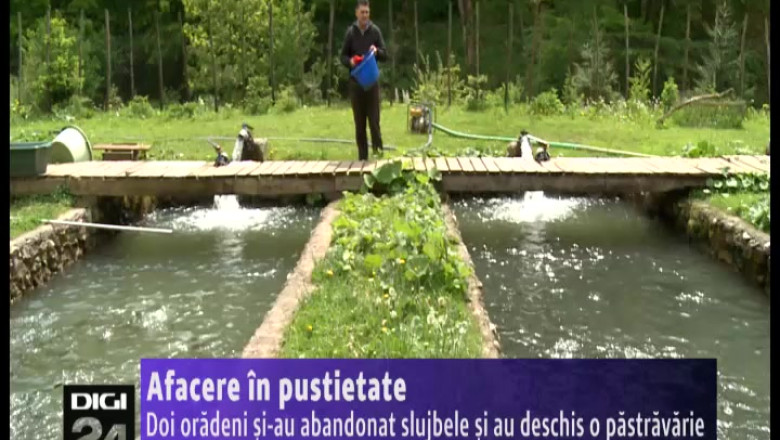 Afacere in pustietate. Doi oradeni si-au abandonat slujbele si au deschis o pastravarie Imagine