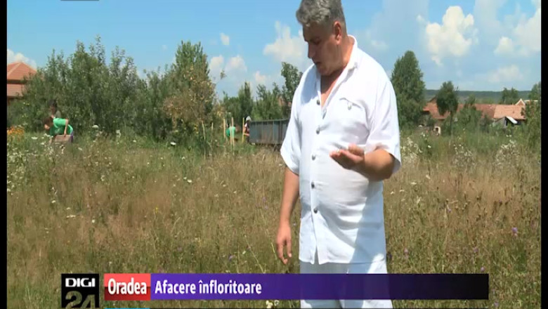 Afacere infloritoare. Un bihorean obtine sute de mii de lei din vanzarea produselor naturiste Imagine