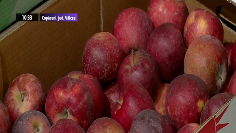 Afacere inspirata de traditie.  Investitori belgieni si romani revigoreaza pomicultura din Valcea Imagine