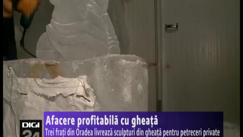 Afacere profitabila cu gheata. Trei frati din Oradea livreaza sculpturi din gheata pentru petreceri private Imagine