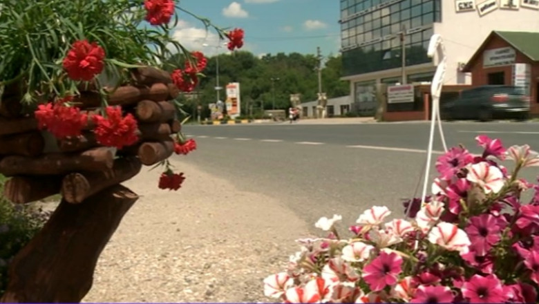 Afacerea gradinilor botanice de pe asfalt. Amenajarea lor poate costa mii de euro Imagine