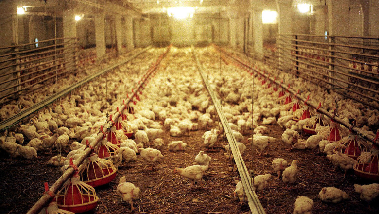 Afaceri de succes pe bani europeni. Cum pot fi create sute de locuri de munca  Imagine