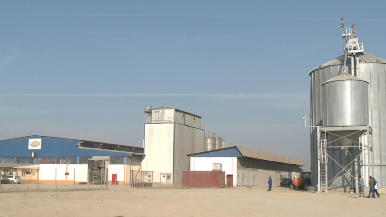 Afaceri italiene cu orez romanesc. Orezaria lui Nicolae Ceausescu din Ialomita a fost abandonata timp de 16 ani Imagine