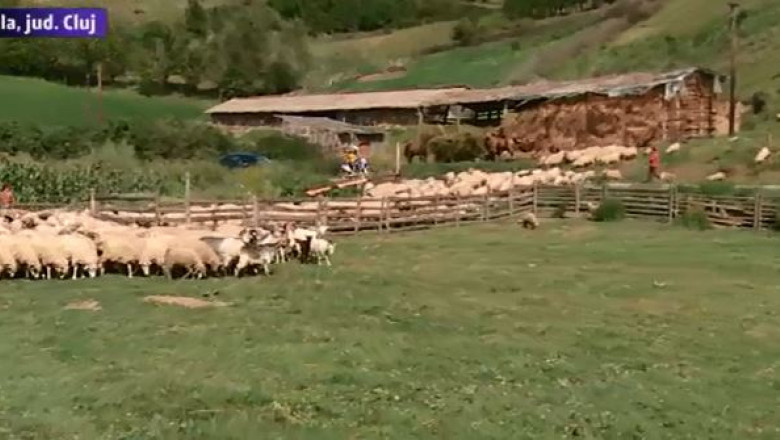 Afacerile la tara, tot mai rentabile Imagine