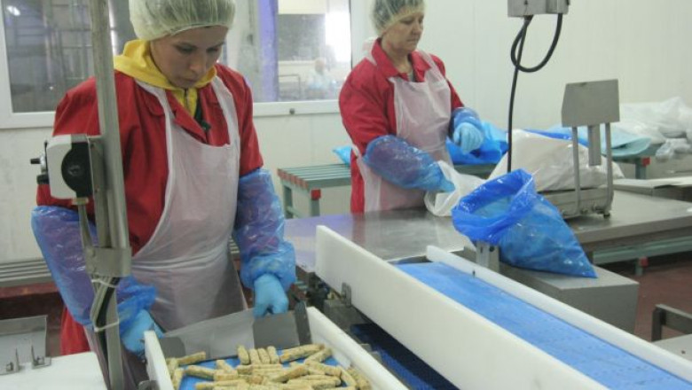  Afacerile lui Mircea Basescu, intre profit si faliment  Imagine