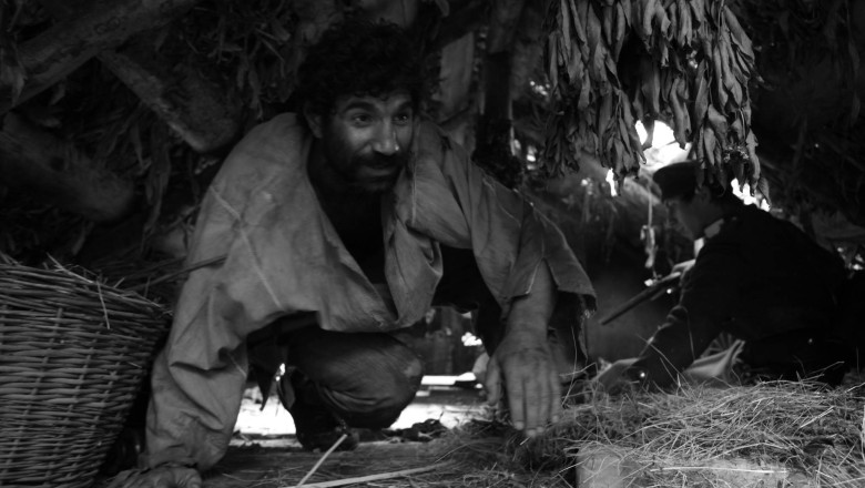 „Aferim!” de Radu Jude, in cinematografele romanesti din 13 martie Imagine