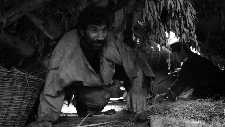 Aferim! - singurul film romanesc care concureaza pentru Ursul de Aur - a avut premiera la Berlinala Imagine