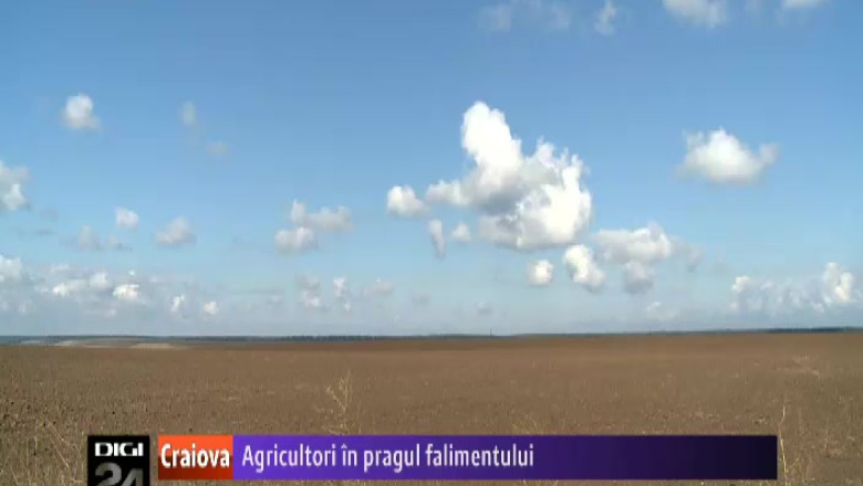 Agricultori din Dolj, in pragul falimentului Imagine
