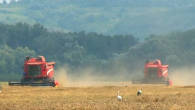 Agricultorii au unda verde pentru credite mai ieftine Imagine