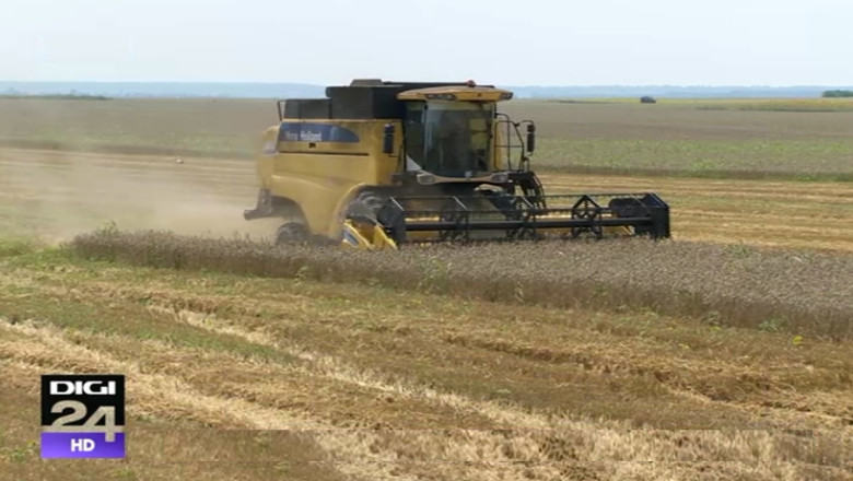 Agricultorii avertizeaza: Avem mai putine fructe si grau din cauza ploilor. Ministrul Daniel Constantin: „Nu sunt probleme” Imagine