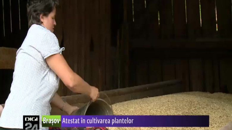 Agricultorii care vor sa acceseze fonduri europene trebuie sa aiba atestat in cultivarea plantelor Imagine