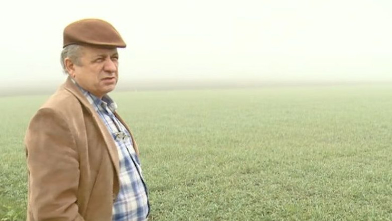 Agricultorii din Timis sunt ingrijorati: ogoarele inverzite de temperaturile ridicate din ultima vreme sunt amenintate, acum, de inghet Imagine