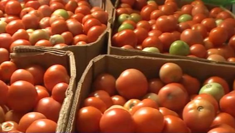 Agricultura cu doua viteze. Micii fermieri si latifundiarii lucreaza peste zece milioane de hectare, dar cu diferente uriase de profit Imagine