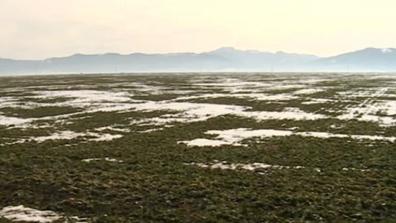 Agricultura din vestul tarii, afectata de inundatii si grindina. Se acorda despagubiri pentru 4.600 din cele 10.000 de hectare distruse Imagine