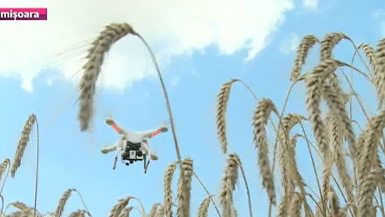 Agricultura la inaltime. O drona ajuta la studiul culturilor de cereale Imagine