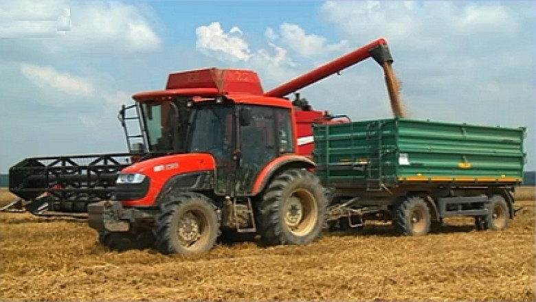 Agricultura, la mana vremii. Dupa un an cu record de productie la hectar, variatiile din 2014 afecteaza deja culturile Imagine