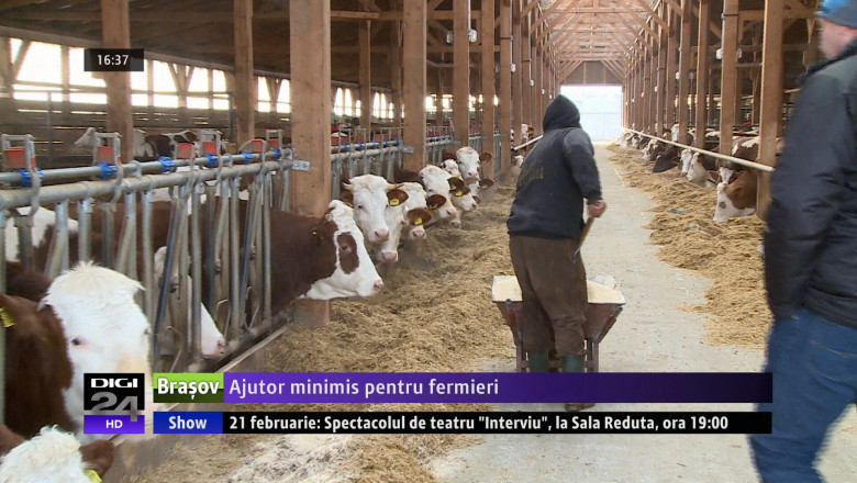 Ajutor minimis pentru fermieri Imagine