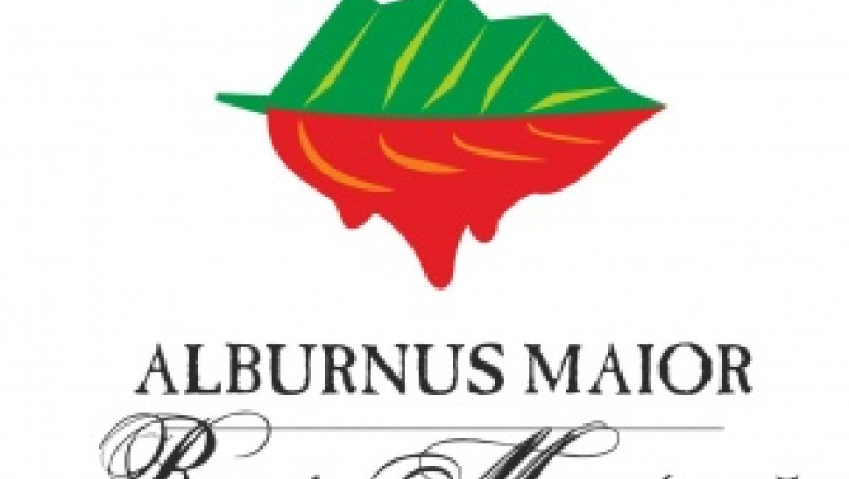Alburnus Maior: Prin cererea arbitrajului international Gabriel Resources isi recunoaste infrangerea in cazul proiectului Rosia Montana Imagine