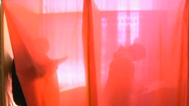 ALEGERI in Donetk si Lugansk. Estul Ucrainei are doi presedinti separatisti Imagine