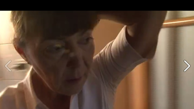 ALEGERI PREZIDENTIALE 2014. Acasa la Monica Macovei, pregatiri inainte de vot  Imagine