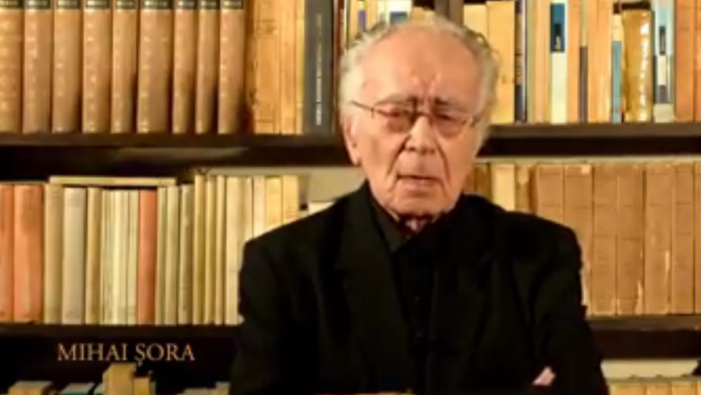 ALEGERI PREZIDENTIALE 2014. Mihai Sora: „Plagiatul e hotie si plagiatorul e un hot. Si pentru hotie nu poate vota nimeni” Imagine