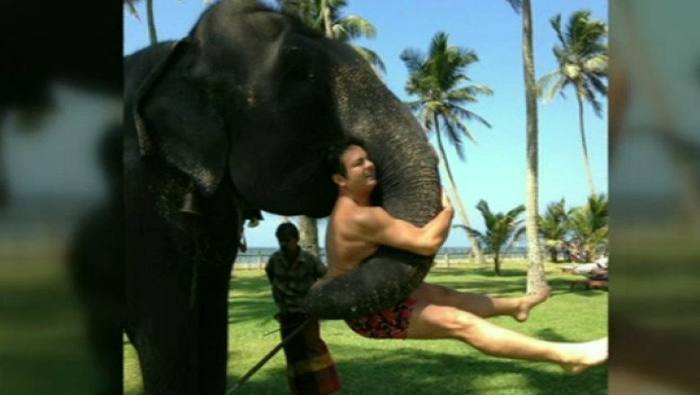 ALEGERI PREZIDENTIALE 2014. Prezidentiabili in ipostaze inedite Imagine