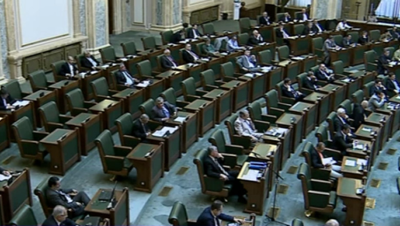 Alegerile, scuza pentru chiul. Parlamentarii sunt in campanie electorala Imagine