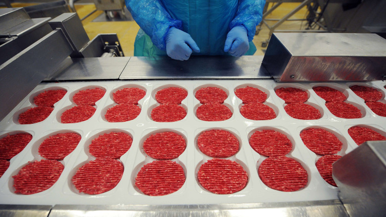 Alerta alimentara in Marea Britanie. Carne de cal, provenita din Romania, in loc de carne de vita Imagine