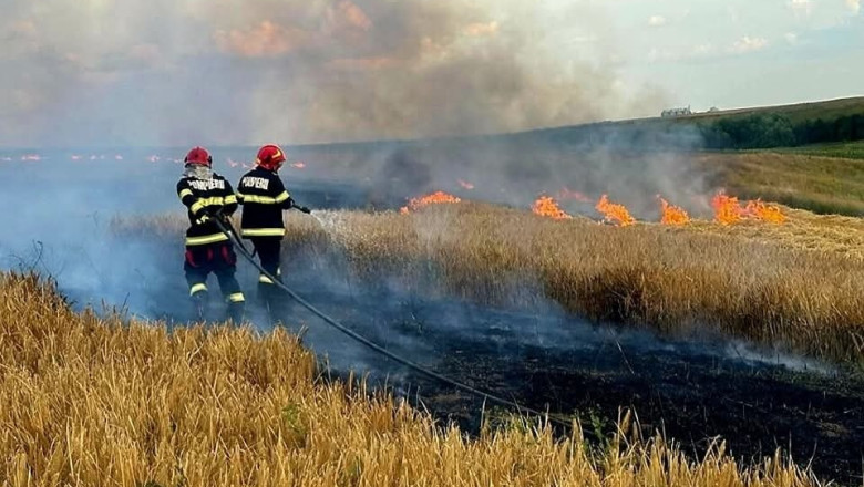 Alerta in Oltenia: 53 de incendii in decurs de 3 zile. Zeci de pompieri se lupta cu flacarile. 750 de hectare mistuite Imagine