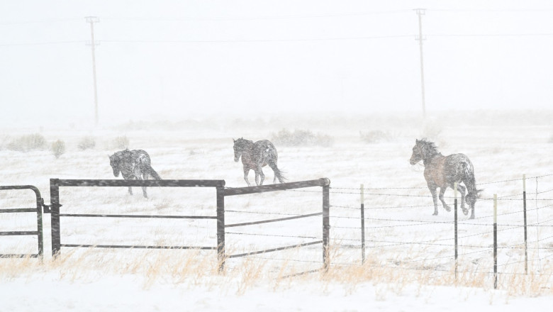 Alerta maxima in SUA din cauza unei furtuni puternice de zapada. Este stare de urgenta in Kentucky si Virginia Imagine
