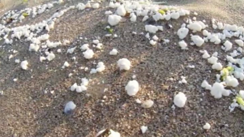 Alerta pe litoralul bulgaresc dupa ce produse chimice au aparut pe mai multe plaje Imagine