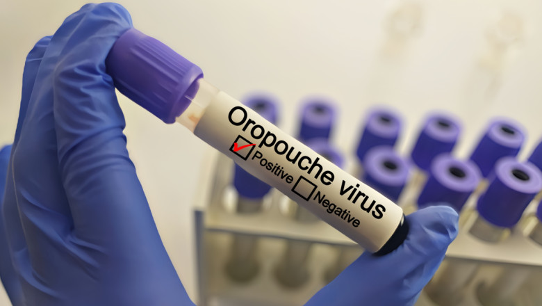 Alerta sanitara dupa cresterea numarului de infectari cu virusul Oropouche, in America Latina Imagine