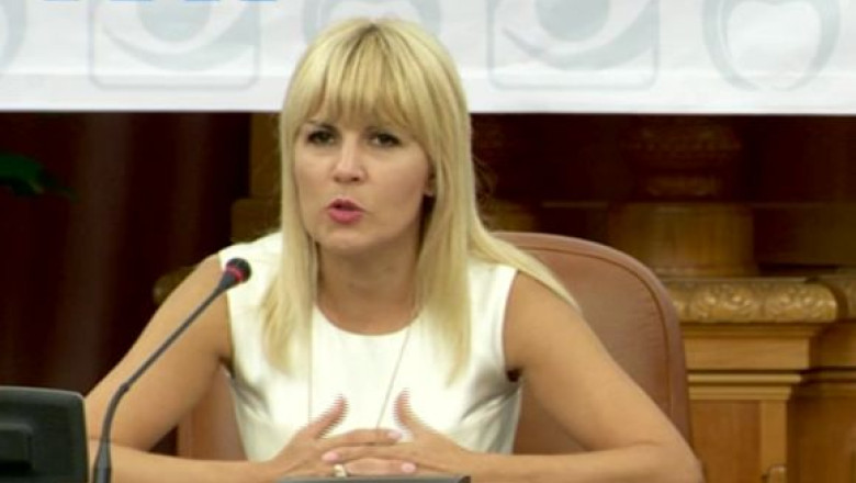 Alianta. PNTCD o sustine pe Elena Udrea la prezidentiale Imagine