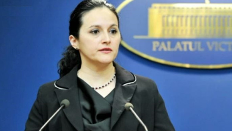 Alina Bica, acuzata ca facea presiuni. "Cum pot sa ma duc la Elena si sa-i spun ca am pus o dezaxata la ANRP?" Imagine