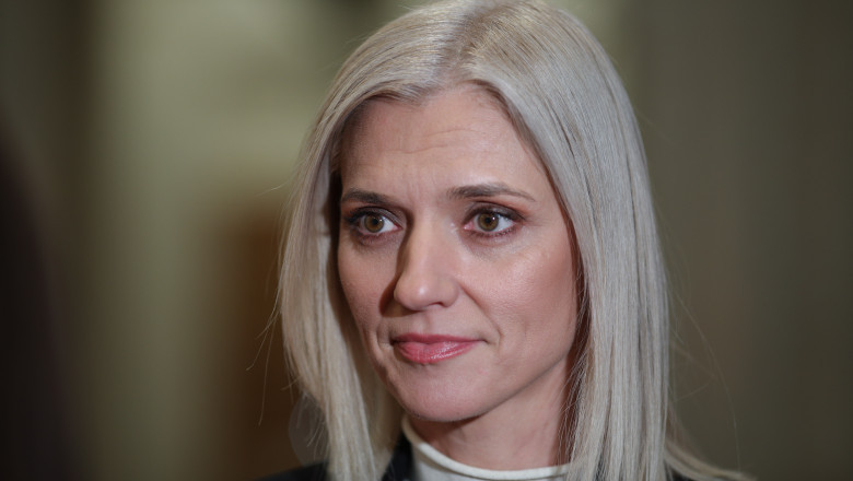 Alina Gorghiu, despre retinerea lui Benny Steinmetz: Instantele cipriote trebuie sa decida daca dispun sau nu predarea lui Imagine