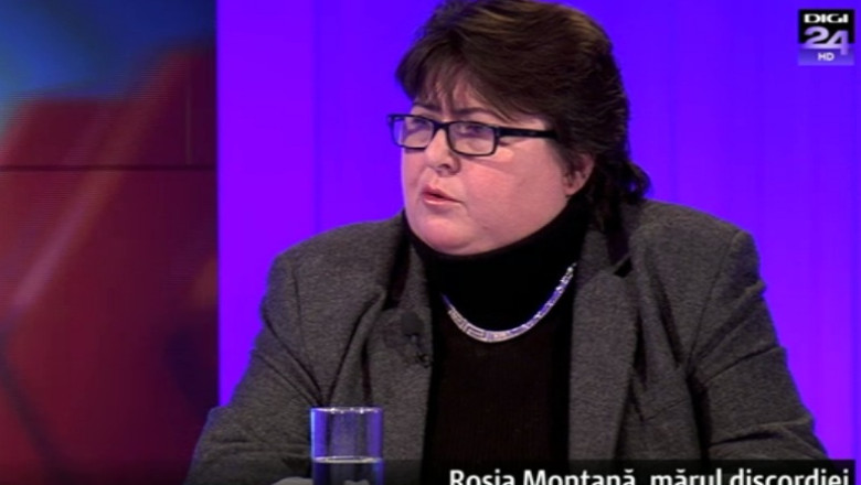 Alina Mungiu-Pippidi: Dan Sova este in conflict de interese pe fata Imagine