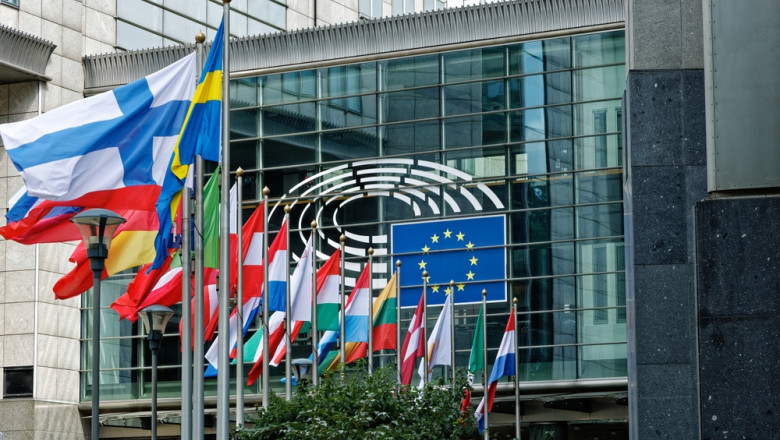 Altercatie intre o eurodeputata suedeza de origine romana si o angajata de la un alt grup parlamentar. Care a fost motivul Imagine