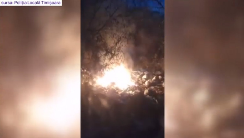 Amenda uriasa: 45.000 de lei pentru un timisorean care a dat foc deseurilor in spatele curtii Imagine