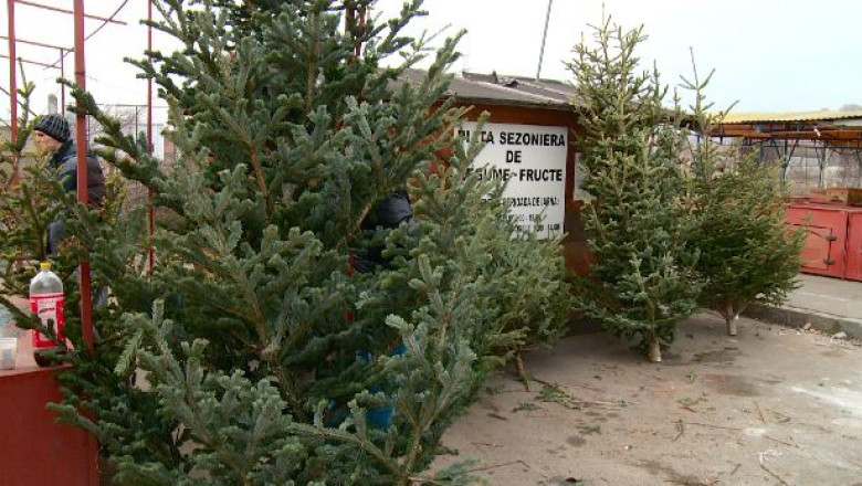 Amplasamente da, brazi ba Imagine