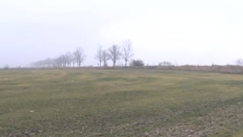 Analiza Business Club: Statul se vrea latifundiar Imagine