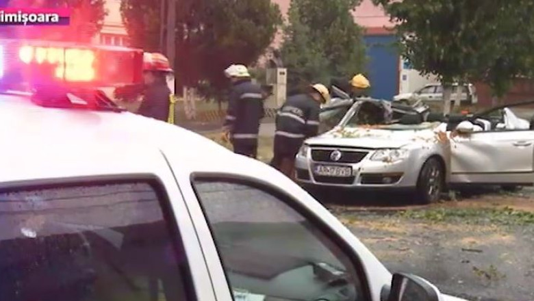 Ancheta in cazul barbatului ucis de un copac Imagine