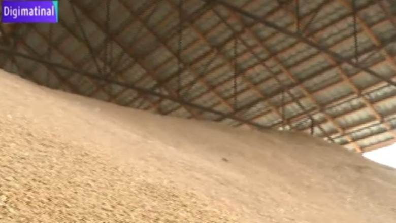 Ancheta la comerciantii de cereale. Este analizat pretul de vanzare Imagine