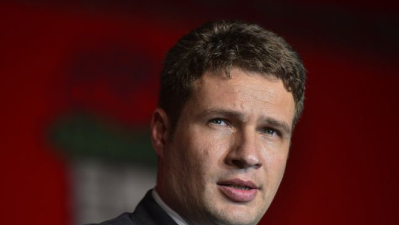 Ancheta la SRI dupa acuzatiile Elenei Udrea  Imagine