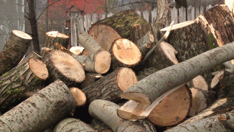 Angajati ai unei primarii din judetul Gorj, prinsi la furat Imagine