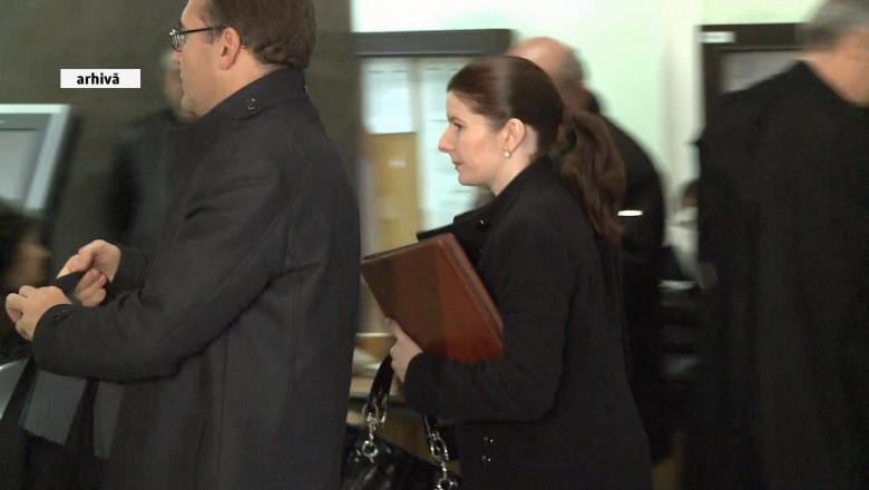 ANI a verificat averea Monicai Iacob Ridzi Imagine