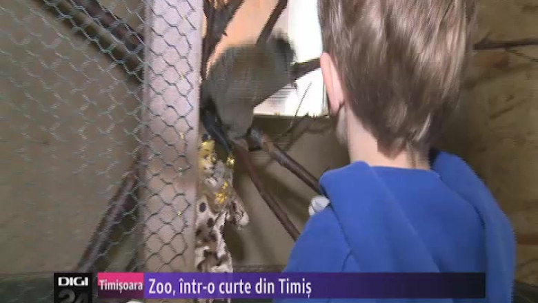 Animale neobisnuite in cel mai vestic Zoo din tara Imagine