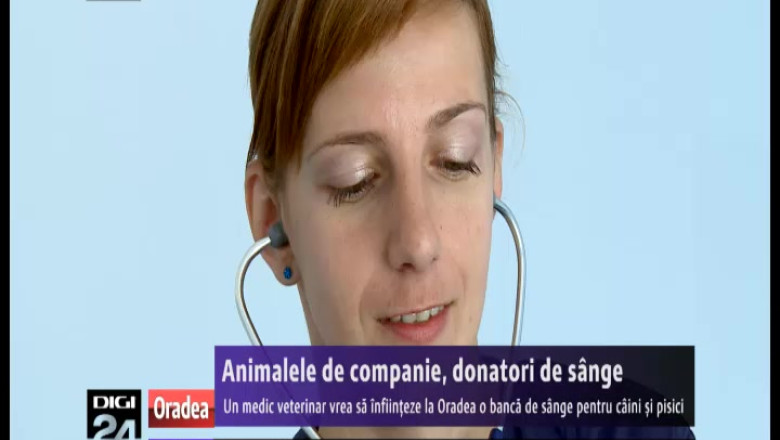 Animalele de companie, donatori de sange Imagine