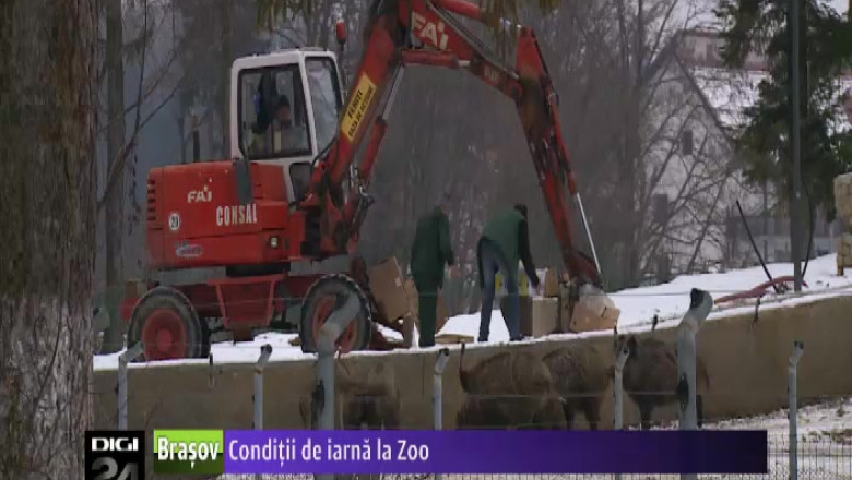 Animalele de la Zoo sunt incalzite cu resoul Imagine