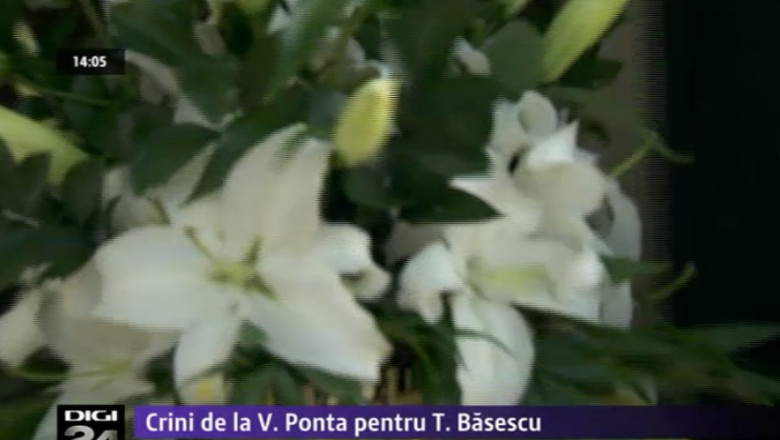 Aniversare. Ce-i ureaza liderii social-democrati lui Traian Basescu. Premierul i-a trimis un buchet de crini Imagine