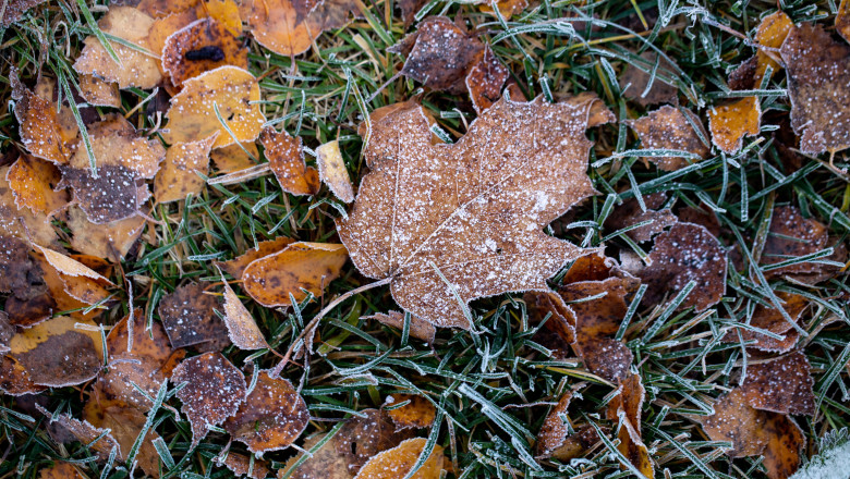 ANM anunta doua saptamani cu temperaturi mai mici decat normalul perioadei. Cum va fi vremea pana la 1 decembrie in toate regiunile Imagine